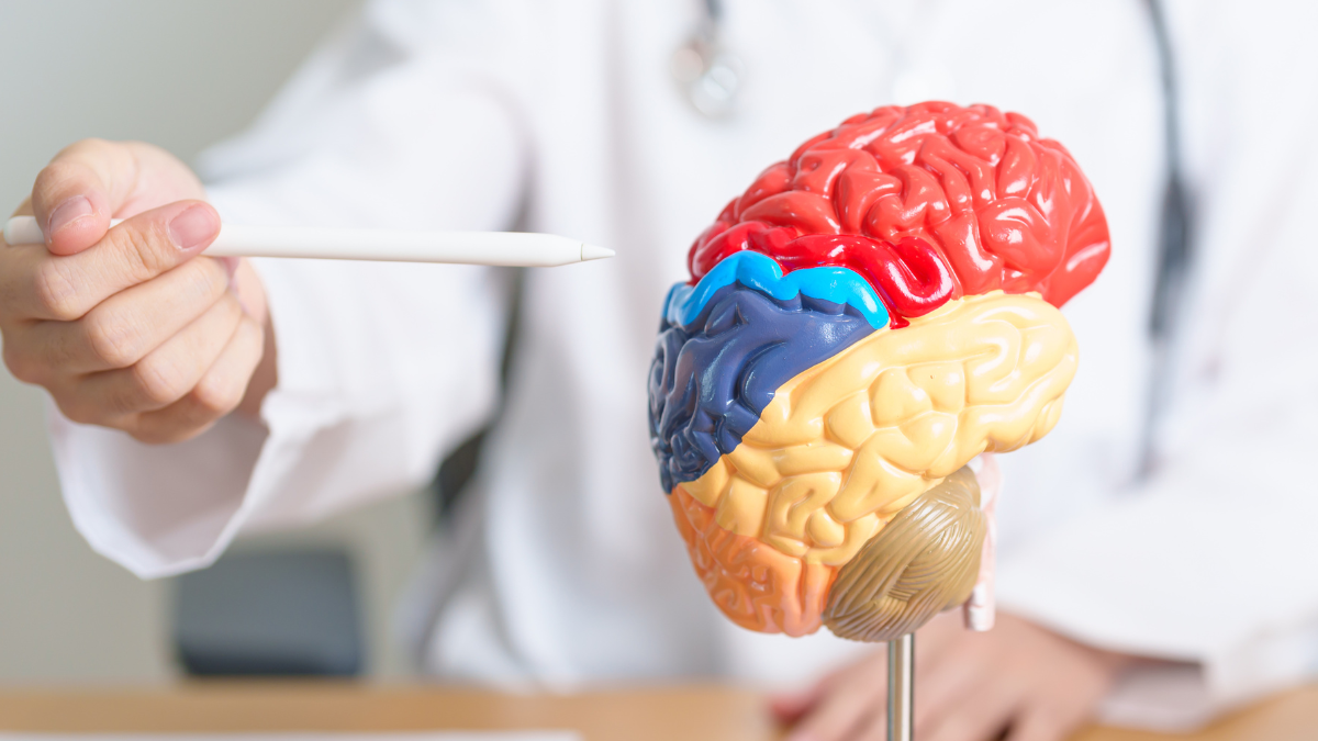 Con estos 5 consejos puede obtener una memoria más lúcida y cuidar su cerebro