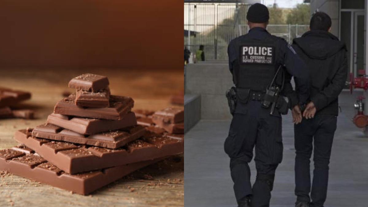 Quisieron enviar chocolate a Estados Unidos, pero CBP descubrió algo ilegal
