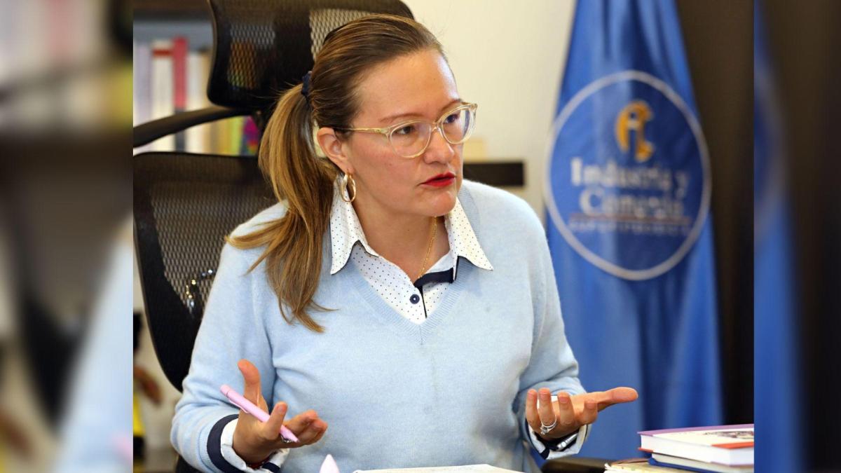 'No son investigaciones contra el Registrador, ni contra la Registraduría': Cielo Rusinque defiende proceso contra funcionarios de esa entidad