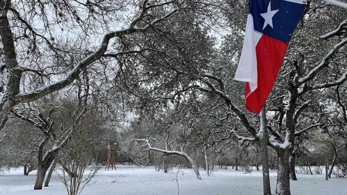 Texas: la fecha en la que San Antonio tendrá su primera gran helada