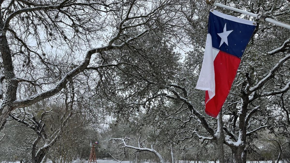 Texas tendrá dos nuevos frentes fríos: fechas y alertas que debería conocer