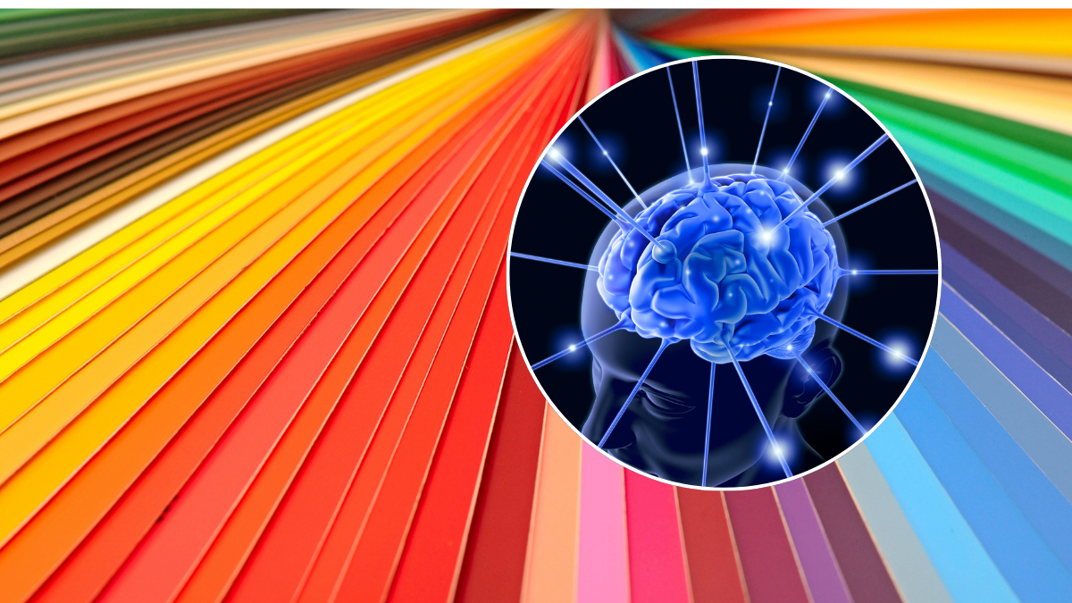 Los colores que eligen las personas menos inteligentes para vestirse ...