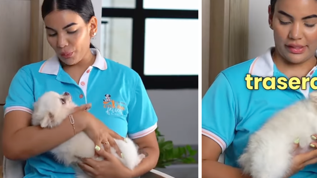 La razón por la que no debe cargar a su perro como un bebé: hay riegos graves para su salud