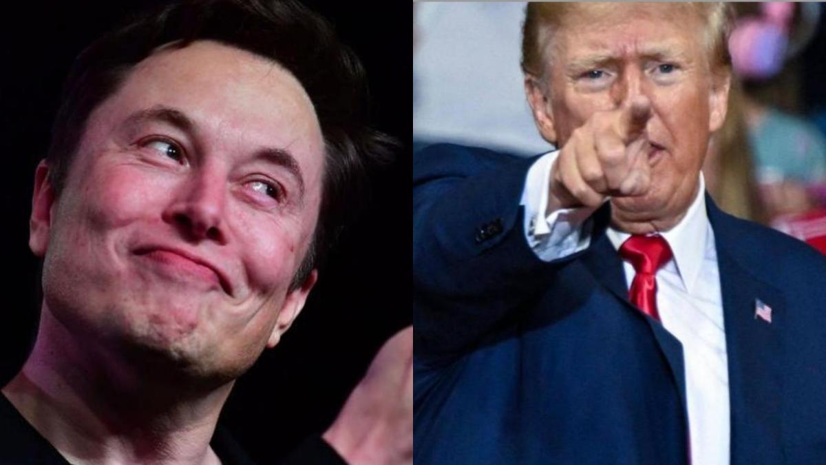 La contundente posición de Trump y Elon Musk sobre las visas H-1B para el próximo mandato