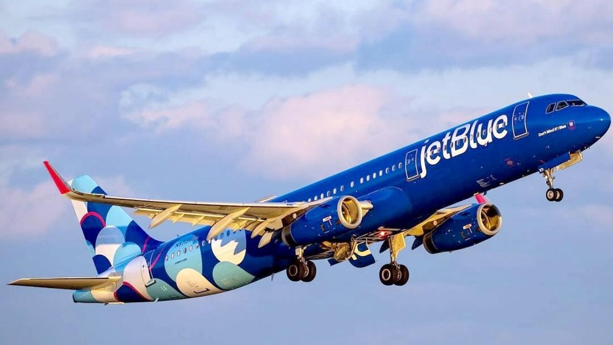 Hallan dos muertos en el tren de aterrizaje de avión JetBlue que venía de Nueva York: esto se sabe
