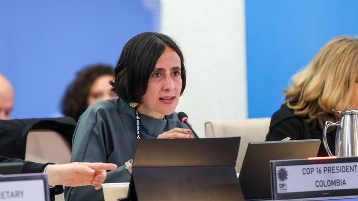 Susana Muhamad cuestiona que vinculado al escándalo de las chuzadas llegue como subdirector del Dapre
