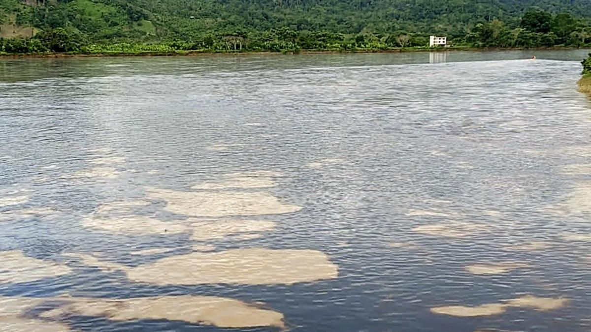 Fotos | Derrame de petróleo en Ecuador causa emergencia ambiental y tiñe río de negro: ‘son daños sin precedentes’