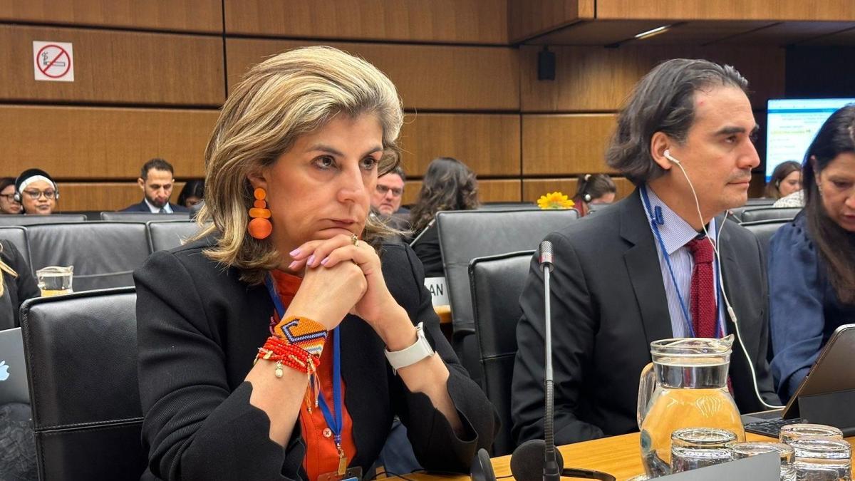 Colombia se la juega este lunes en la OEA: ¿habrá elección de Laura Gil como secretaria general adjunta?
