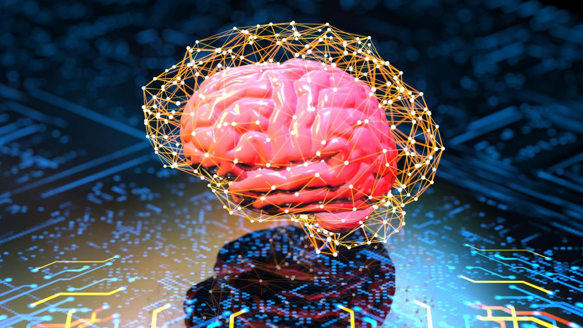 Estudio de Harvard revela qué alimentos favorecen el rendimiento cognitivo