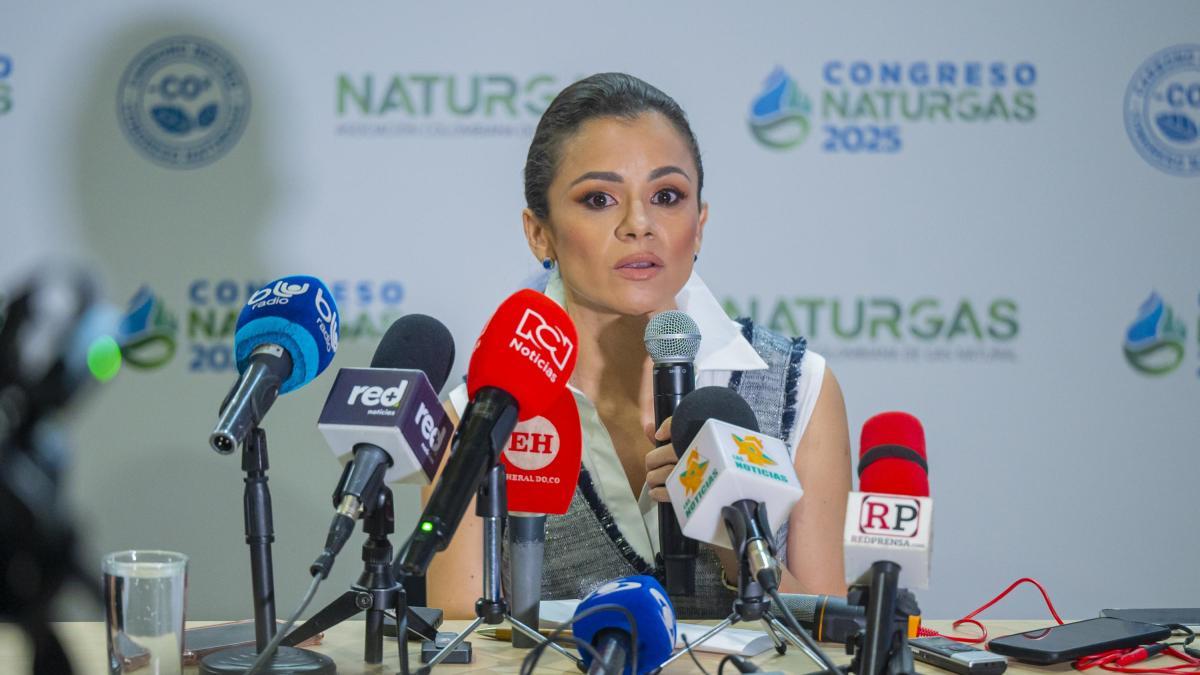Estos son los proyectos de los que depende Colombia para recuperar su autosuficiencia y dejar importar gas natural