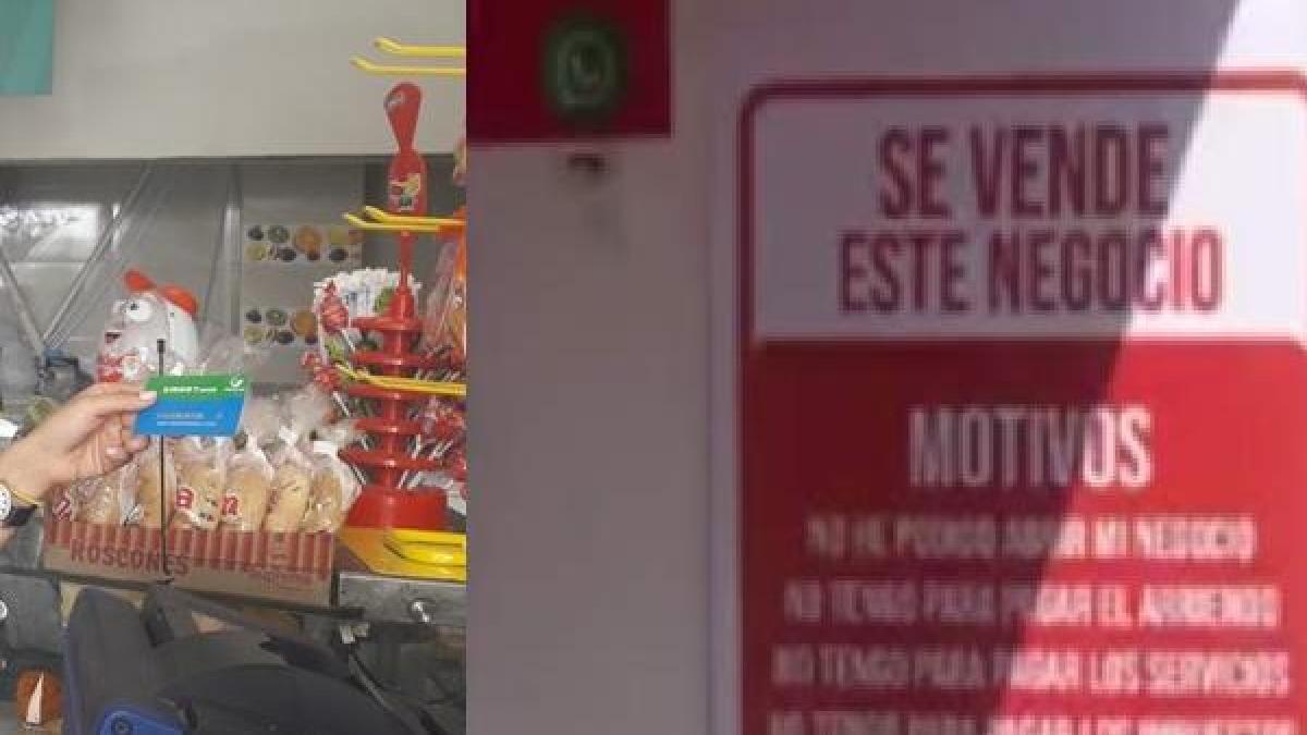 Endişe verici araştırmalar, Santander şirketlerinin sadece % 35'inin yaratılışlarının 5 yılında hayatta kaldığını ortaya koyuyor