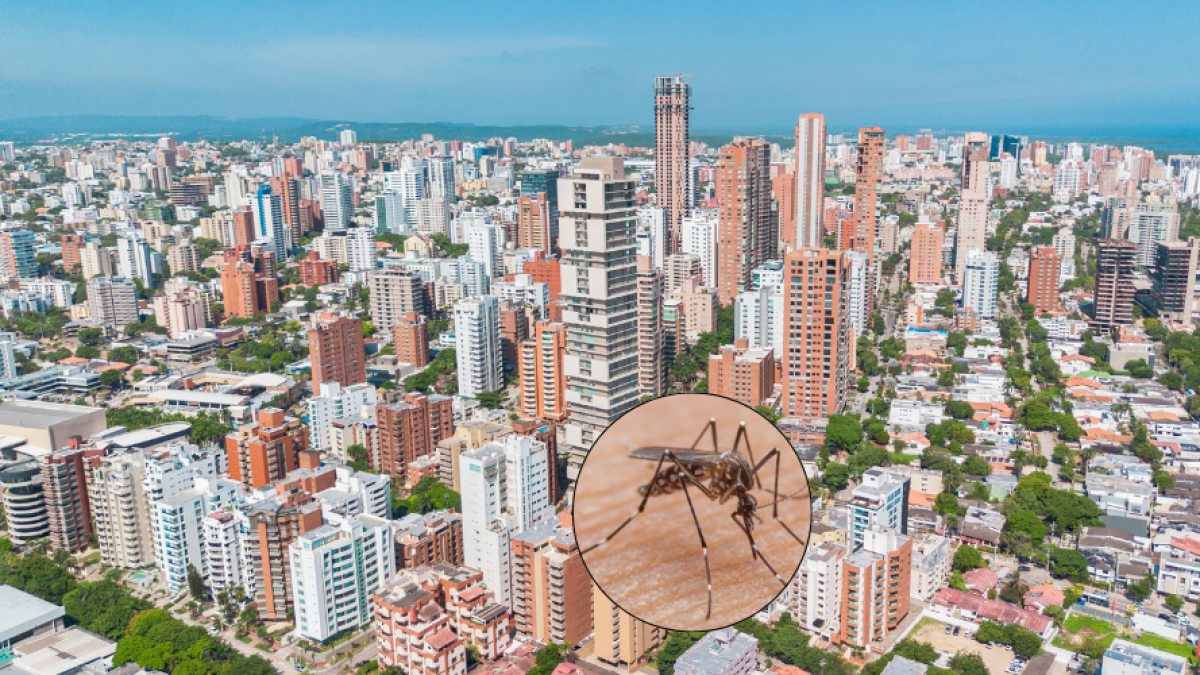 Barranquilla refuerza vacunación contra fiebre amarilla por aumento de viajes en Semana Santa