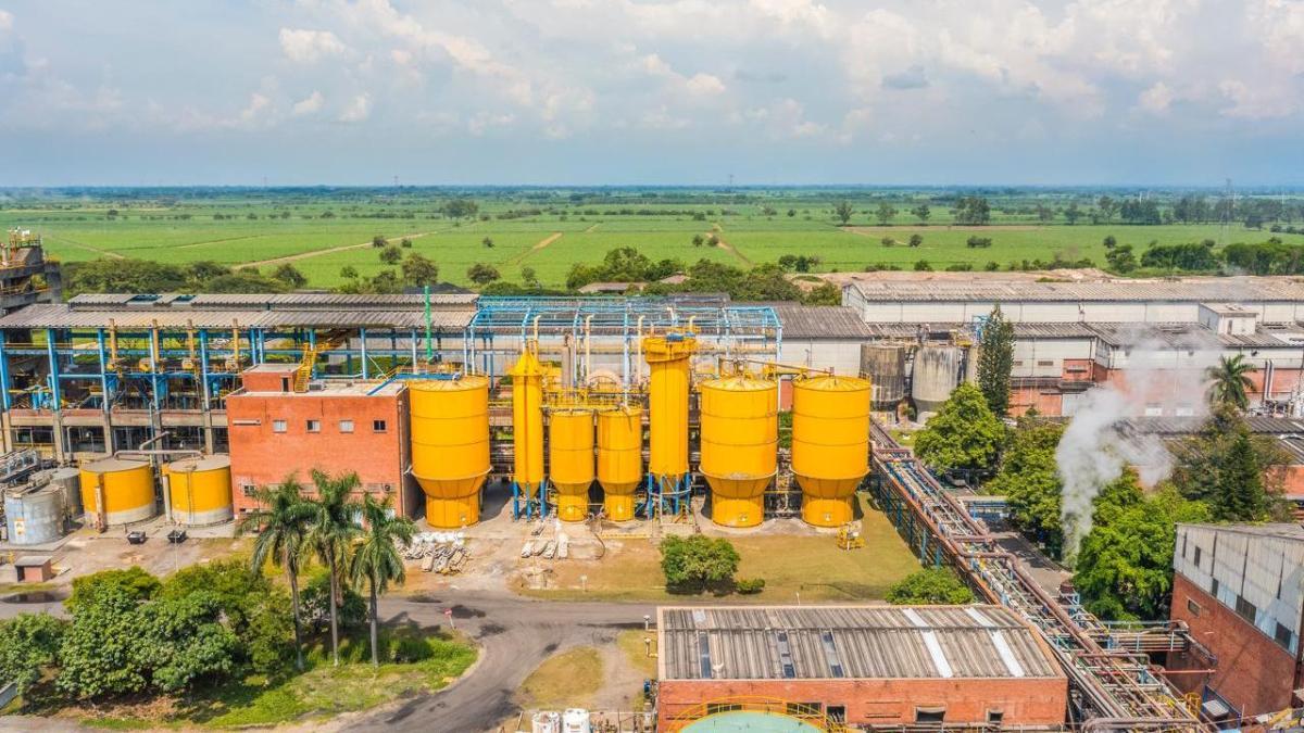 ‘Tomamos la decisión pensando en proteger el empleo’: Pedro Carvajal, sobre cierre de operación de Propal en Yumbo