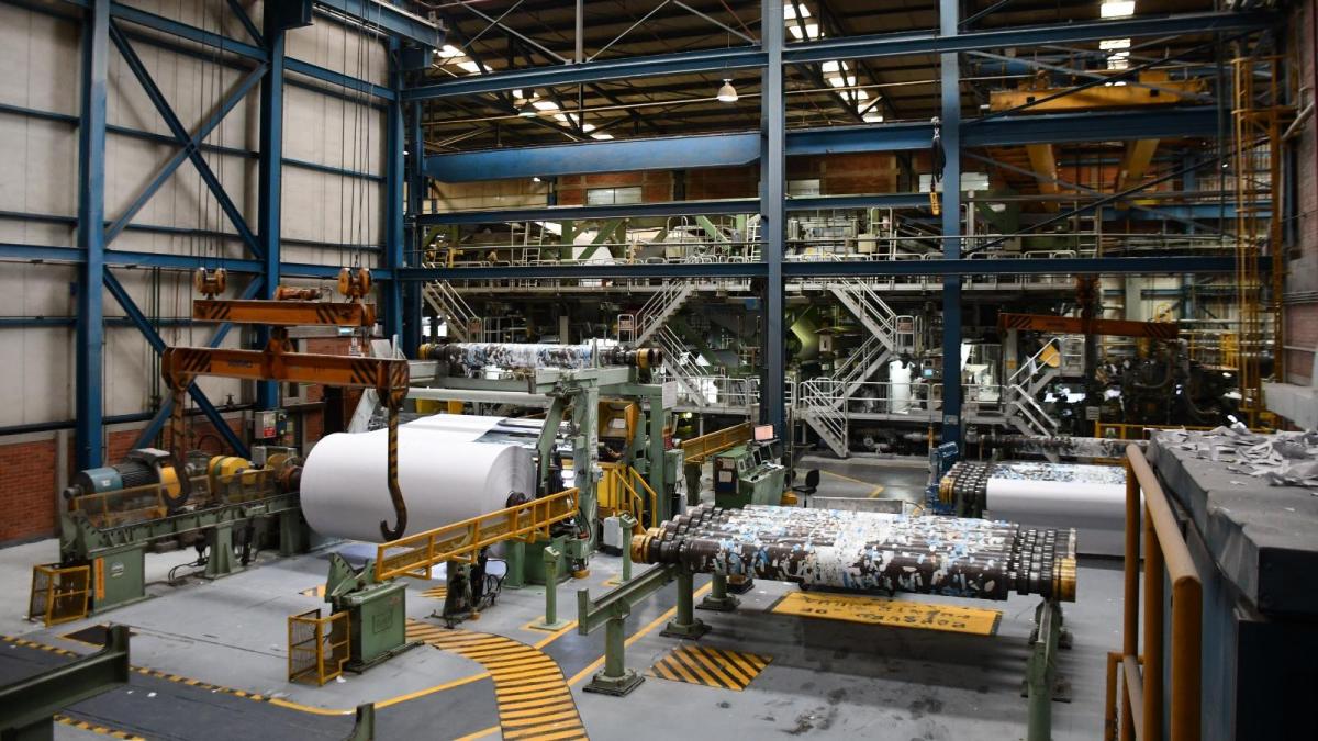 'Guerra del papel' enfrenta a grandes compañías del sector: Carvajal frente a Scribe, Inapel y otras firmas