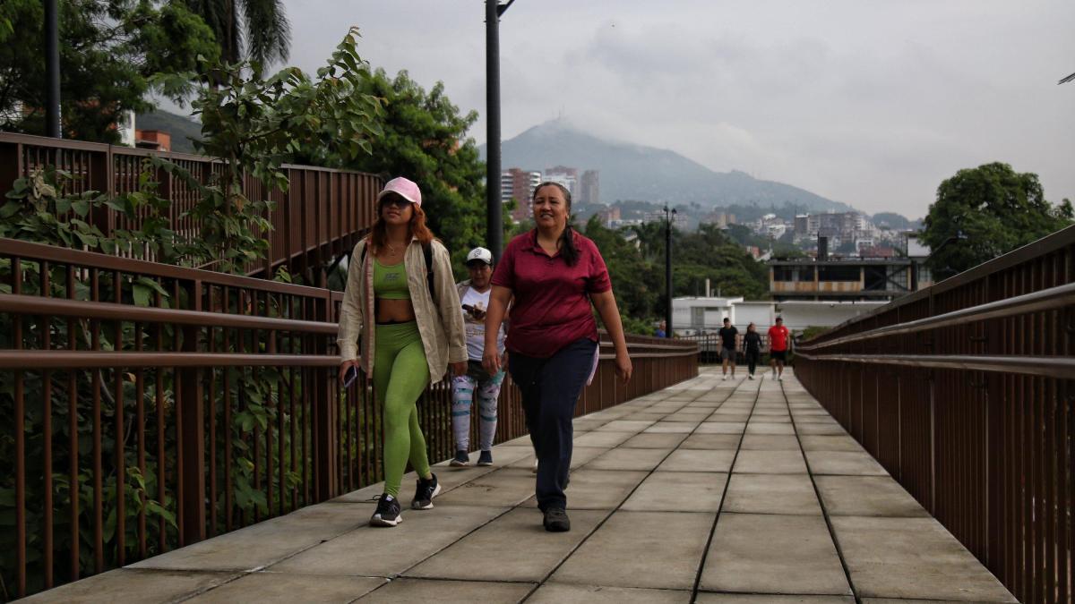 Esta es la realidad del proyecto del Ecoparque Cristo Rey de Cali: los tramos que están abiertos y los pendientes