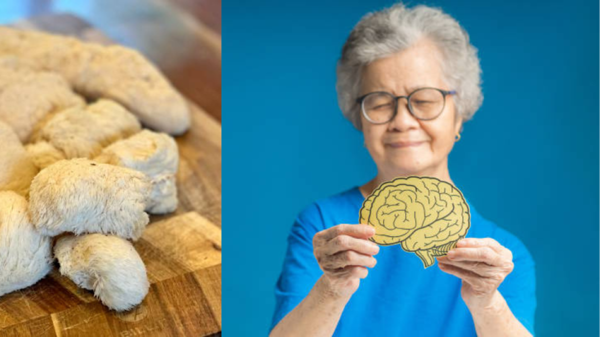 Científicos descubren un alimento capaz de regenerar las neuronas y fortalecer la memoria