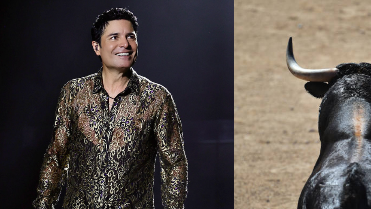 Grupo animalista pide que Chayanne cambie el nombre de su canción ‘Torero’ por ‘exaltación a la tauromaquia’