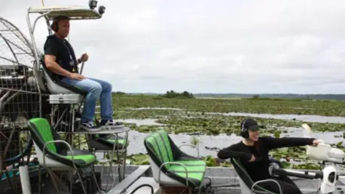 Florida abre inscripciones para una actividad que emociona a muchos (está relacionada con caimanes)