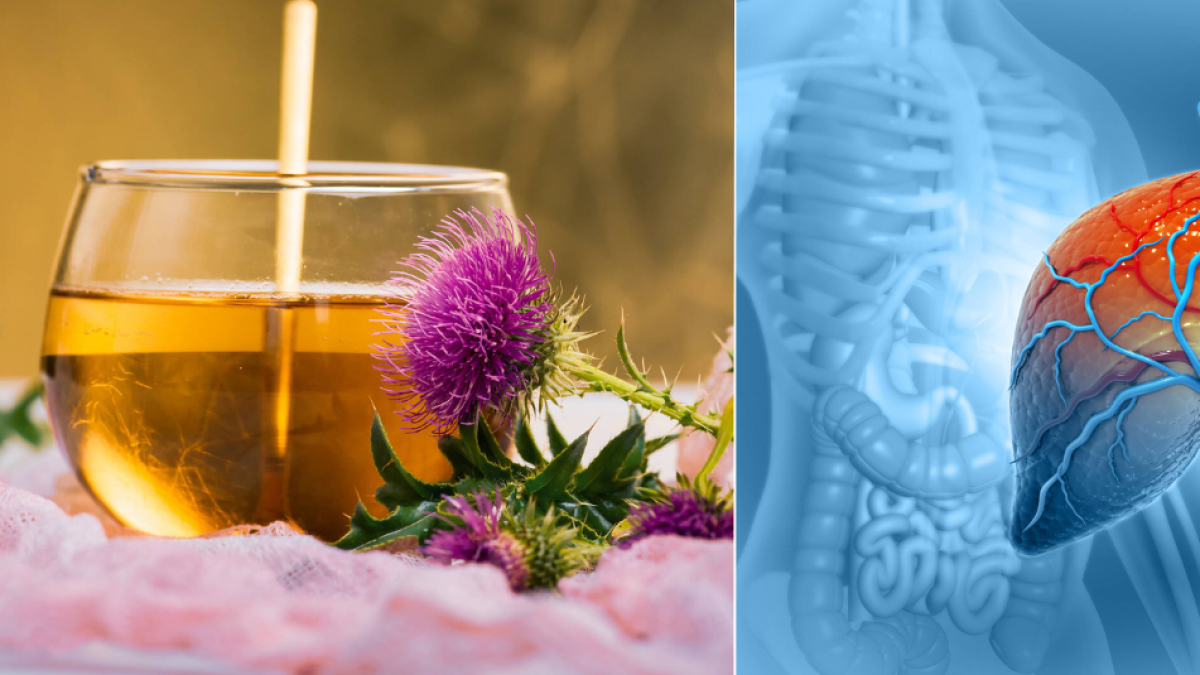 La planta que estudia la ciencia por sus beneficios para el hígado y la digestión