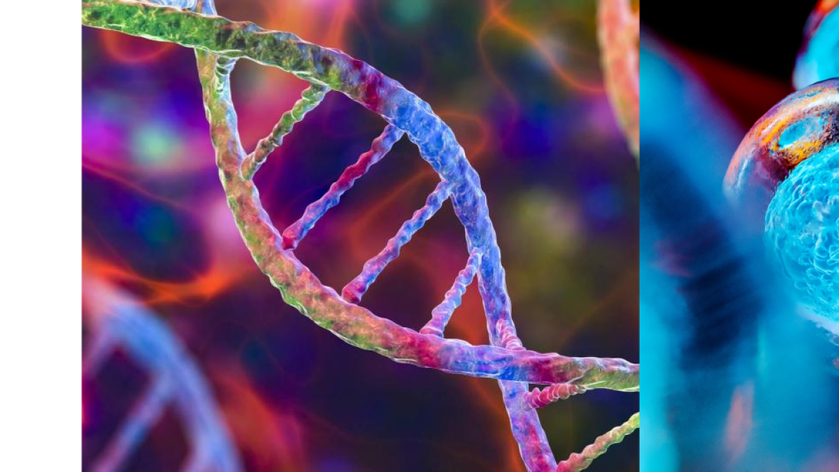 ¡Vida Larga y Saludable! Descubre Cómo la Ciencia y la Tecnología Están Revolucionando el Envejecimiento en Argentina para 2025
