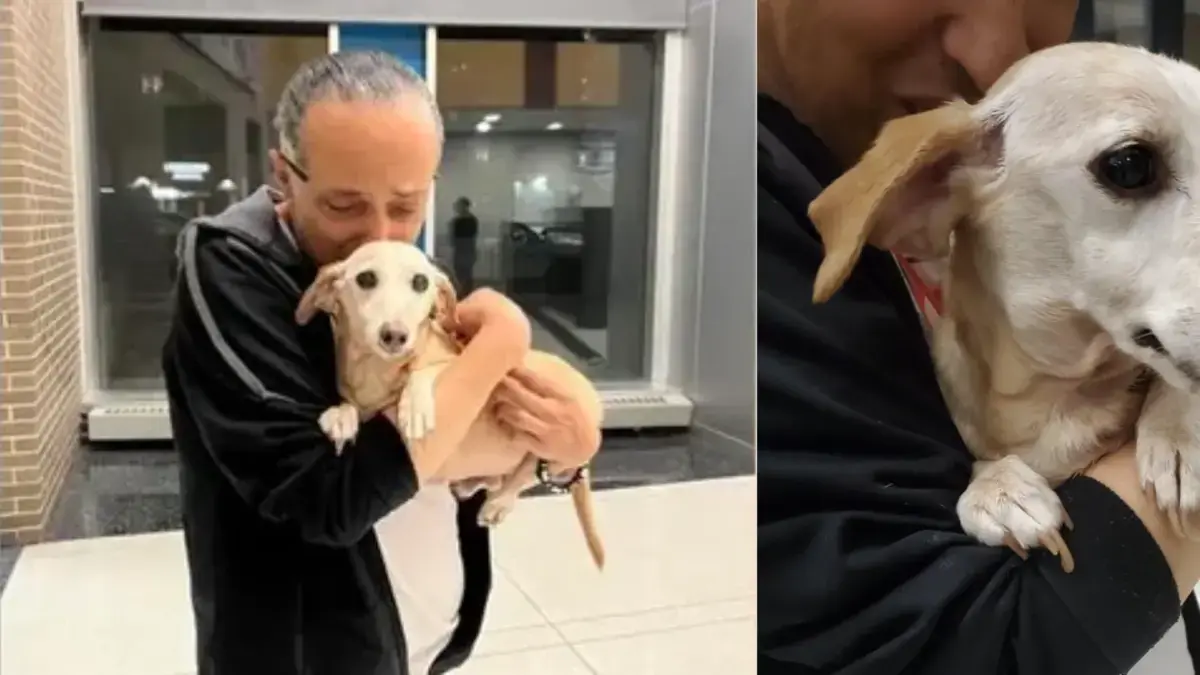 Un hombre ciego en Estados Unidos se reencontró con su perro guía, Bam Bam, robado hace meses