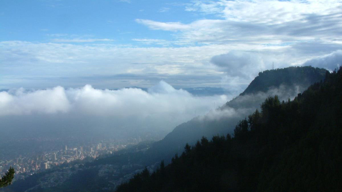 İnşaatçı, konak inşa etmek için Bogota tepelerindeki ormanları yok ettiği için kınandı
