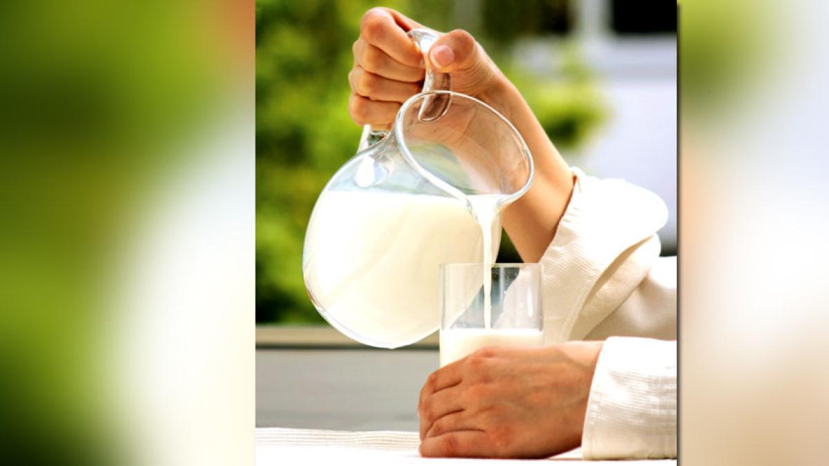 Lácteos con altos niveles de azúcar generan riesgos para la salud ...