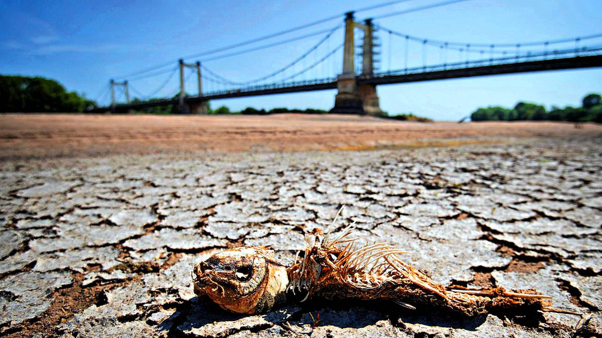 La humanidad sufrirá ‘daños irreversibles’ por esta causa, advierten expertos