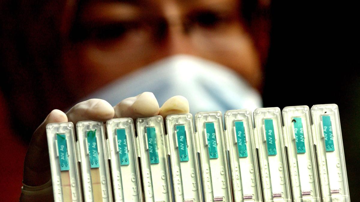 L’Italia testerà un candidato vaccino contro il coronavirus