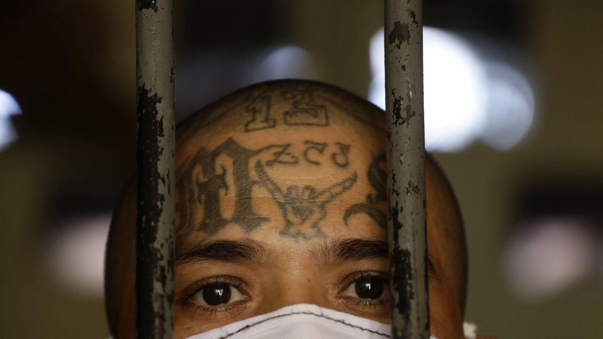 Condenan Hasta 262 A os De Prisi n A 48 Pandilleros De La Mara 