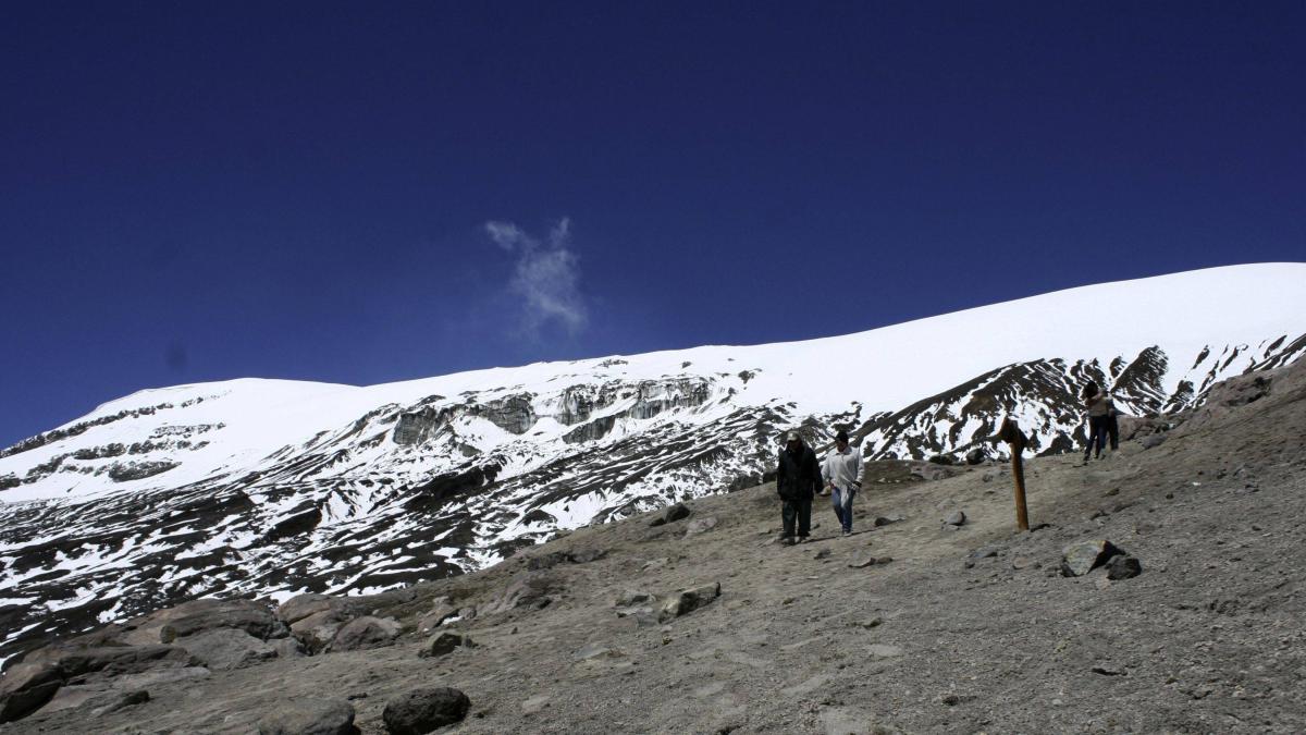 "No se harán compras de tierras en predios del Parque Los Nevados": Agencia de Tierras