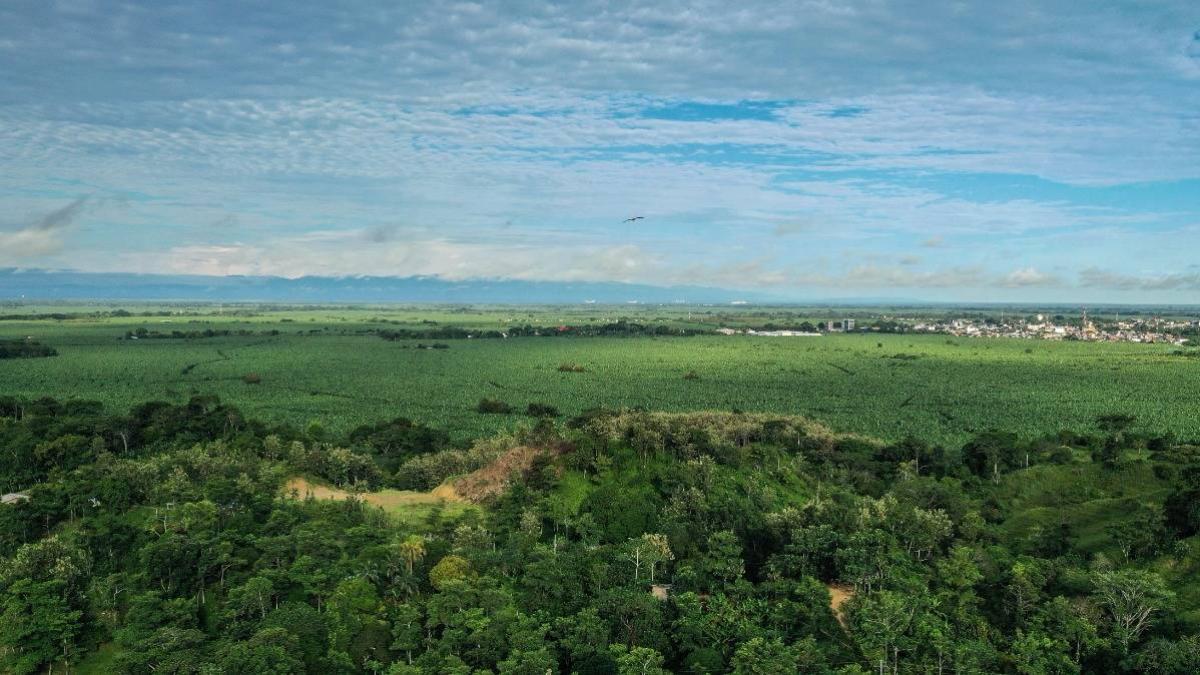 Urabá: La JEP dicta medidas cautelares en la región de Tulapas para proteger a los campesinos víctimas de despojos y desplazamientos