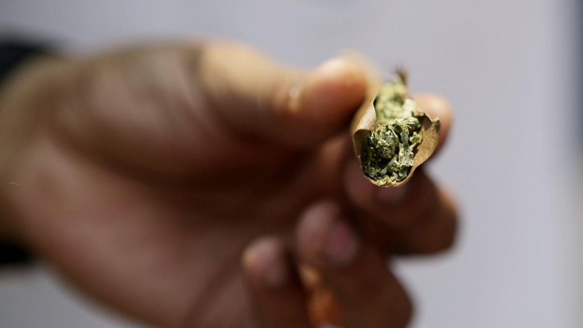 Encuentran 20 kilos de marihuana abandonados en una playa de Venezuela