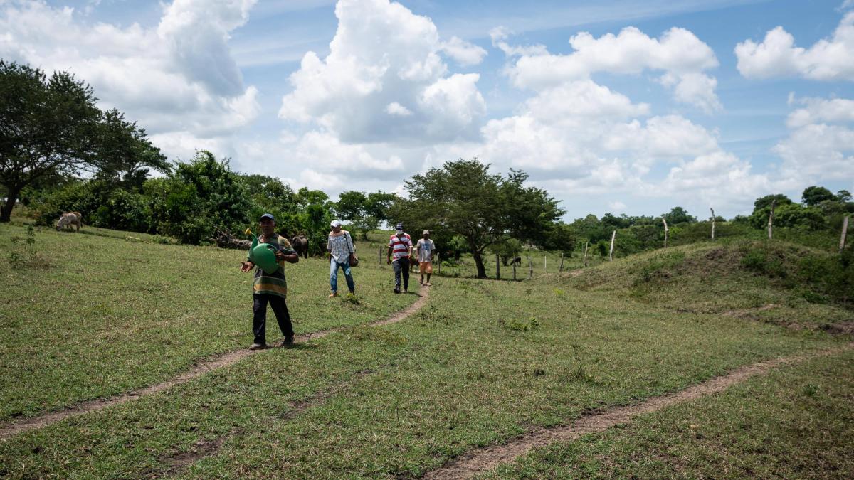 Problemas de caja en Hacienda también generan retrasos en desembolsos para reincorporados del acuerdo de paz