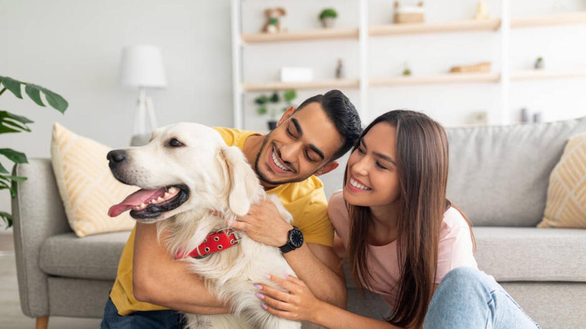 La enfermedad que se contagia de humanos a perros, según expertos