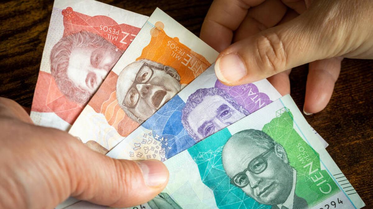 Judicializan en Nariño a cinco adultos mayores por falsificar billetes colombianos y extranjeros: en sus viviendas hallaron papel impreso con dólares