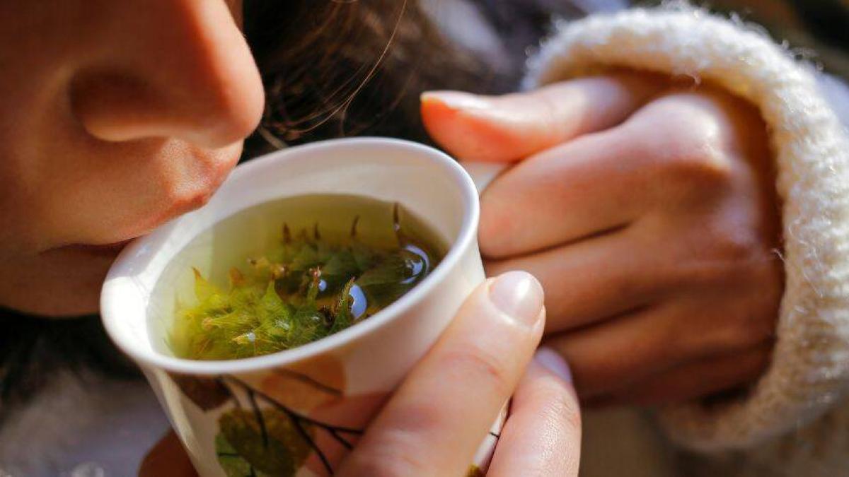 La planta medicinal que es beneficiosa para el hígado graso y puede ser eficaz contra la cirrosis