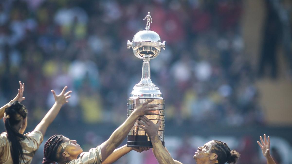 ¿Por qué Colombia no ha sido sede de una final de Copa Libertadores? Esta es la razón