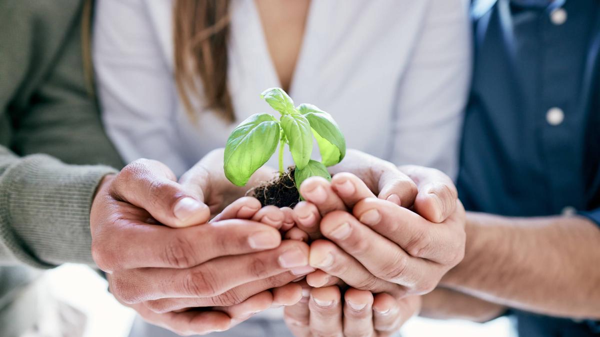 Maestría en Desarrollo Rural con Mención en Gestión de Recursos Naturales y Medio Ambiente