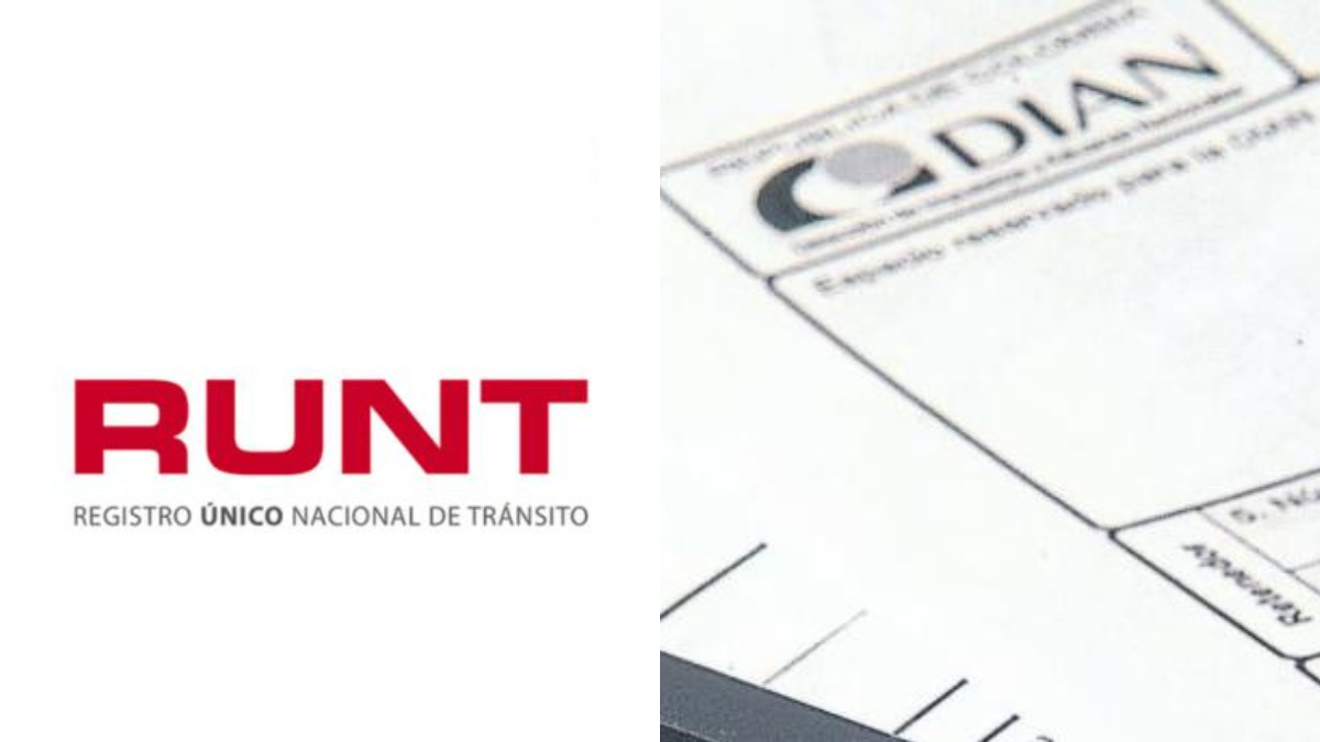¿Cuál es la diferencia entre el RUT y el RUNT?
