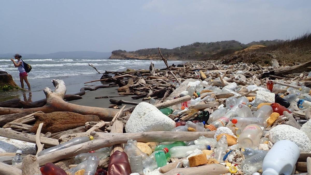 La amenaza que ronda a los paisajes costeros del Caribe