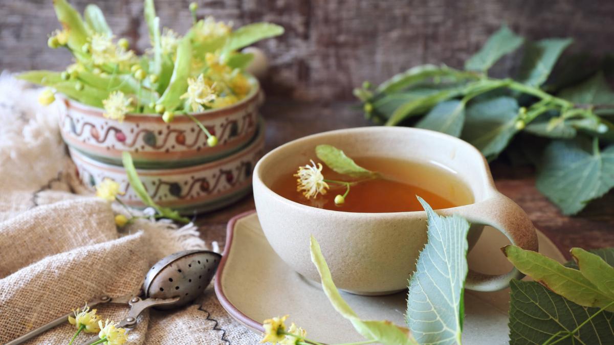 Té de tilo: ¿cuáles son las diferentes clases que existen de esta planta?