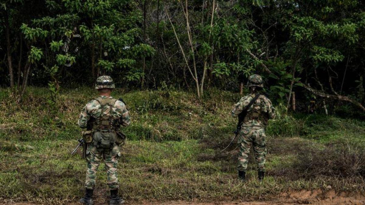 Cae en combates presunto cabecilla del Eln vinculado con actos terroristas en Antioquia