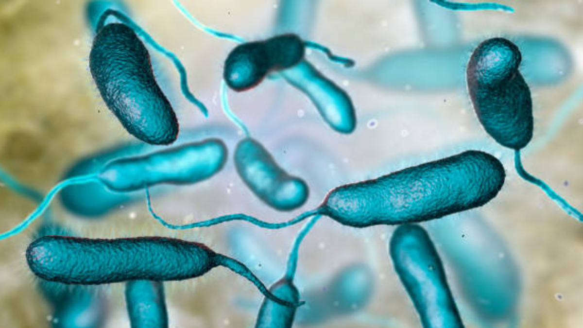 「人を食べる」細菌によって引き起こされる連鎖球菌中毒性ショックとは何ですか? 日本でも感染者が増加しているため警報が出ています