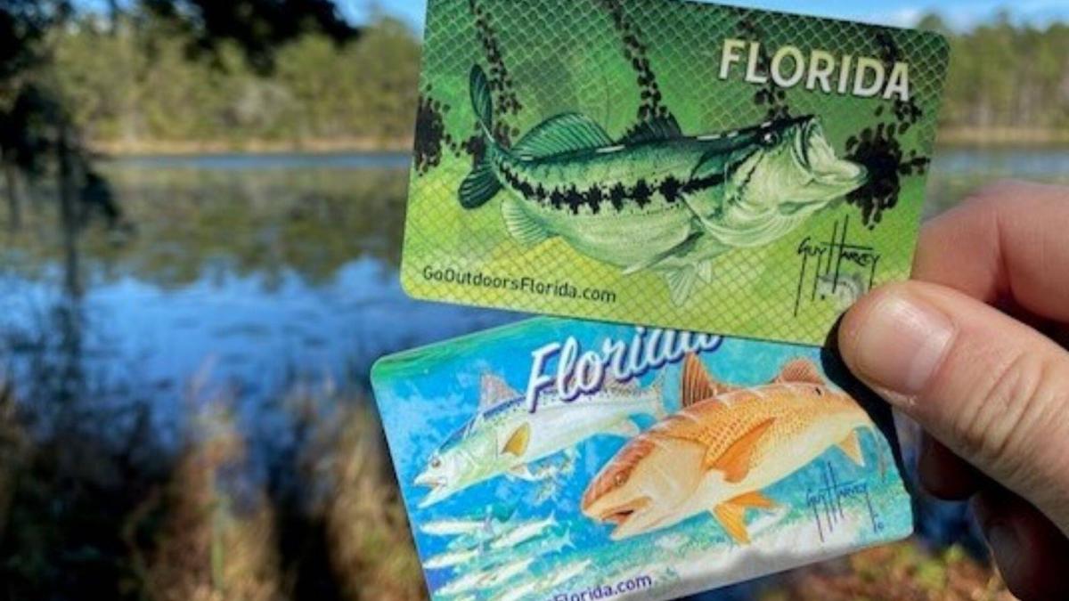 La enmienda de Florida que podría modificar reglas en la pesca y caza