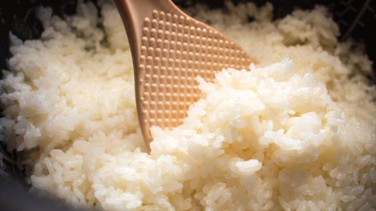 The Well being Advantages of Reheated Rice: Reducing Blood Sugar Ranges for Diabetics