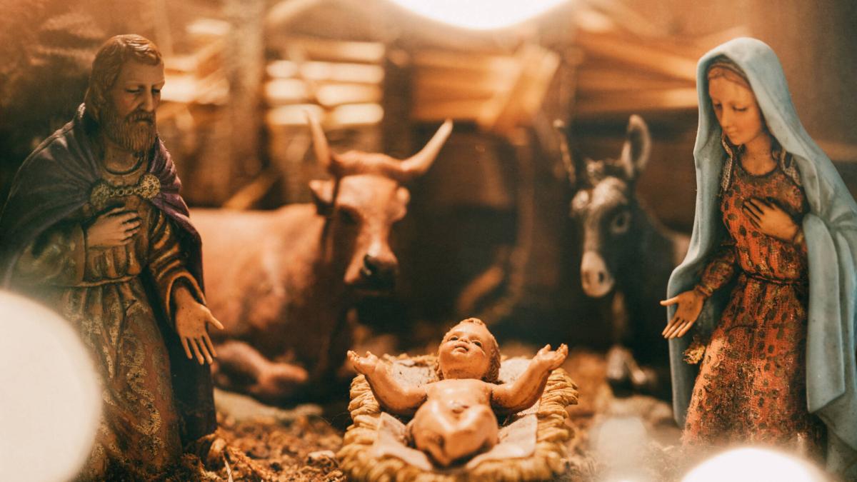 ¿Cómo mantener a las ovejas y a las cabras del pesebre de pie? Este es el sencillo truco que ahorra dolores de cabeza