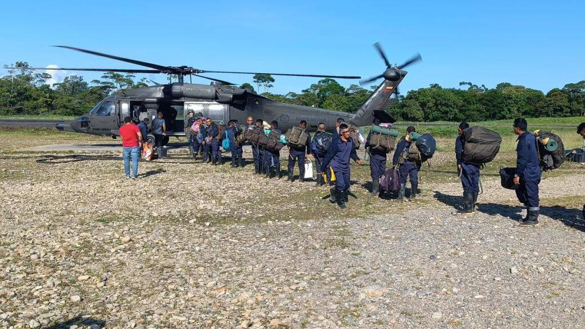 Kolombiya'daki koka bitkilerinin zorla yok edilmesi: üç bakanlığa öncelik