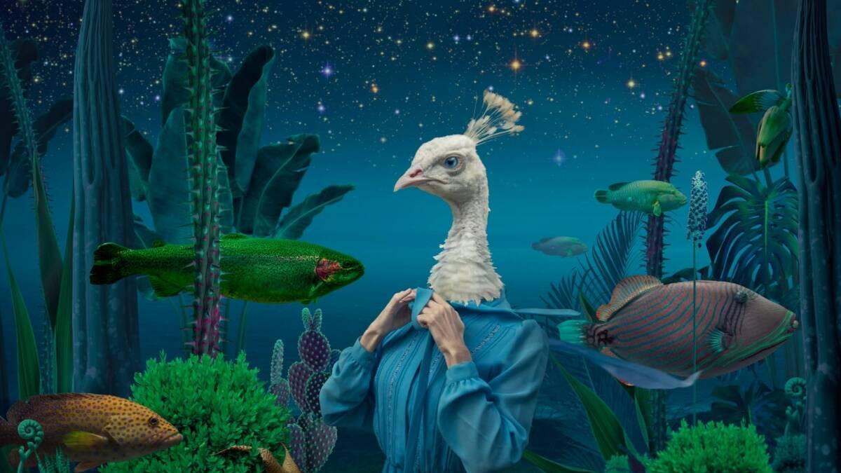 ¿Cuáles son los sueños más raros y cómo se pueden interpretar?