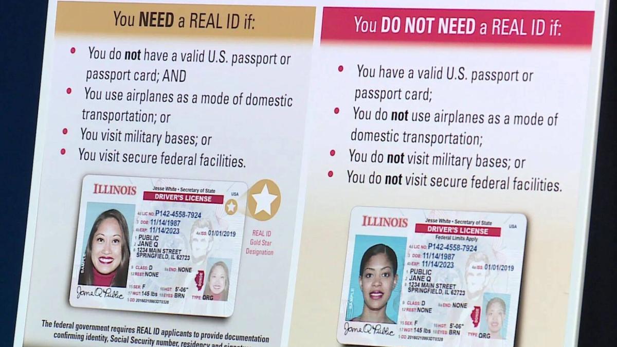 ¿Cuál es el estado que otorga más fácil la Real ID, según la inteligencia artificial?